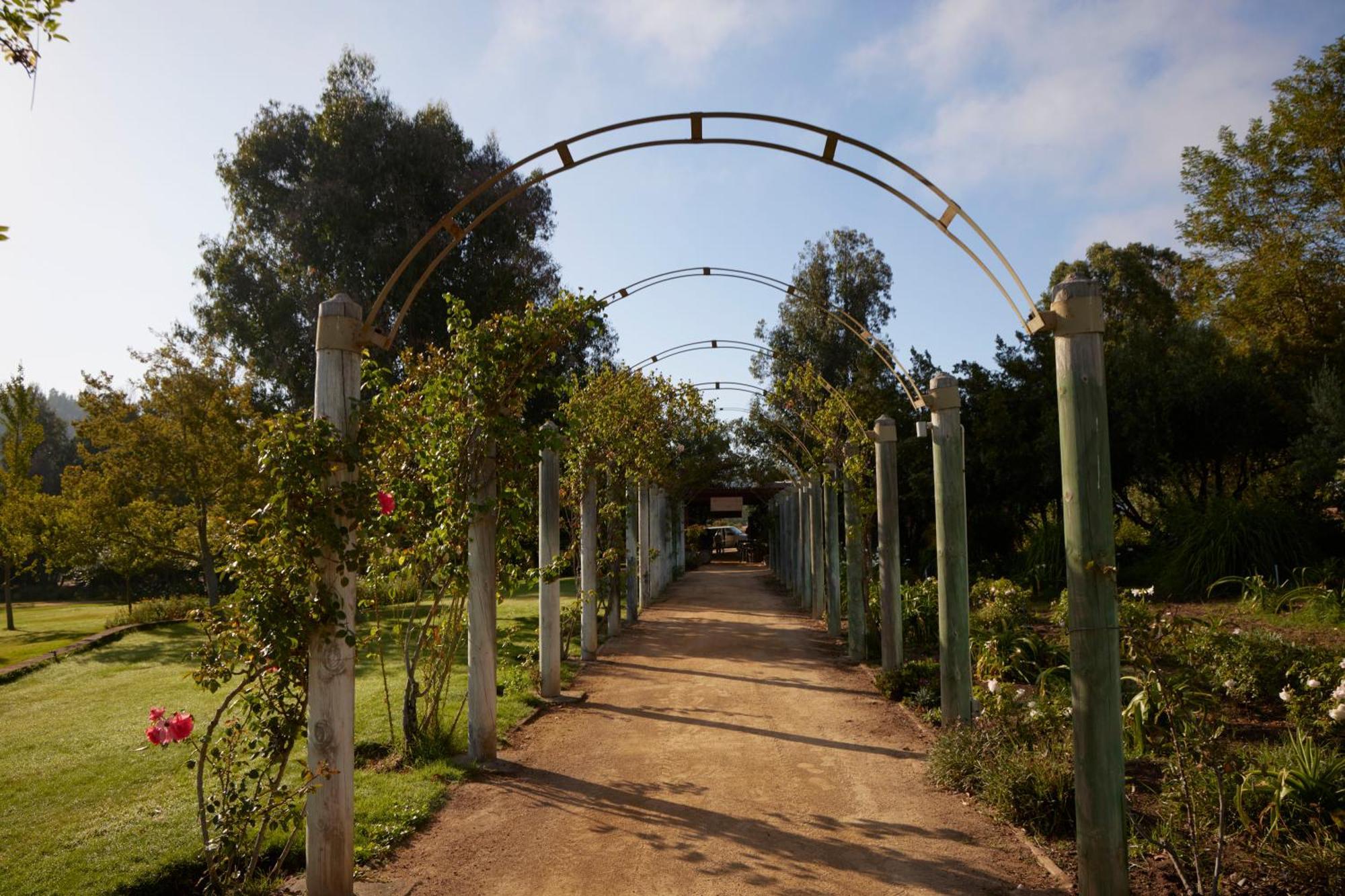 La Casona At Matetic Vineyards Konuk evi Lagunillas Dış mekan fotoğraf
