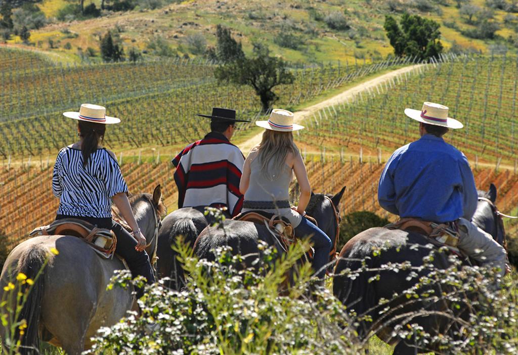 La Casona At Matetic Vineyards Konuk evi Lagunillas Dış mekan fotoğraf