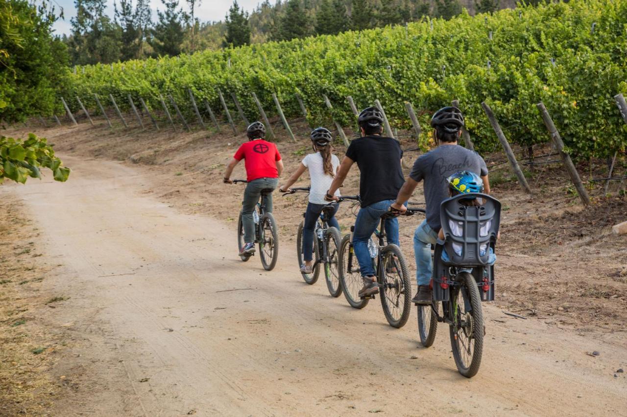 La Casona At Matetic Vineyards Konuk evi Lagunillas Dış mekan fotoğraf